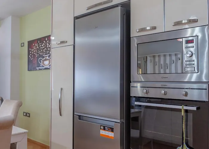 Paris Luxury Penthouse Daire *